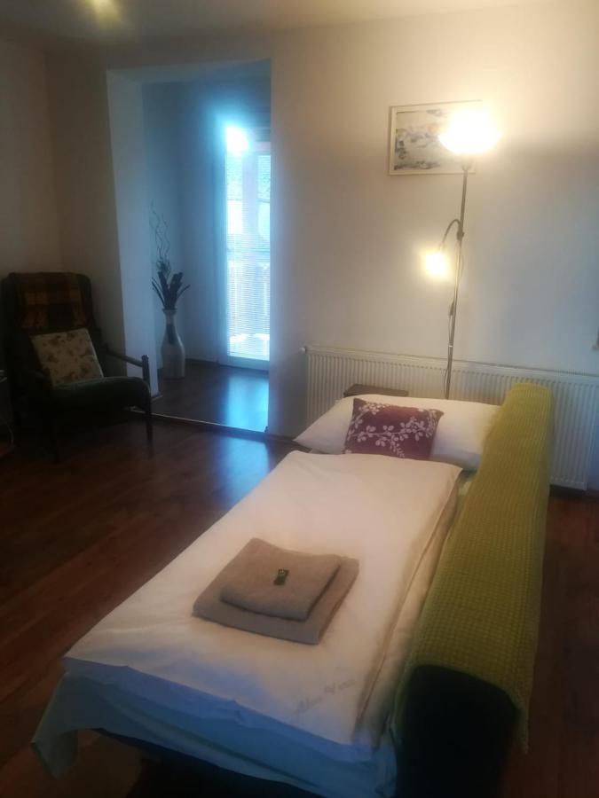 B&B Violet Karlovy Vary Ngoại thất bức ảnh